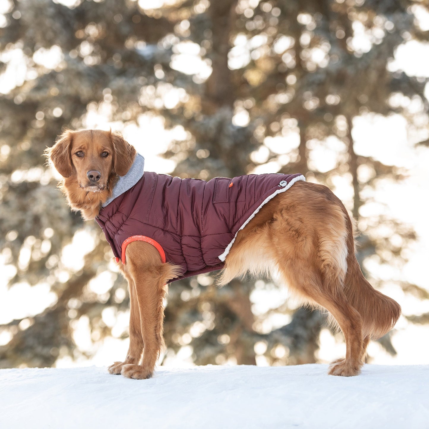 Winter Sailor Parka - Burgundy